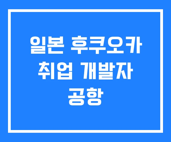 일본 후쿠오카 취업 개발자 공항