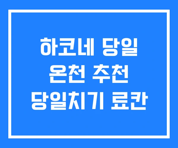 하코네 당일 온천 추천 당일치기 료칸