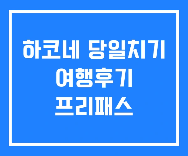 하코네 당일치기 여행후기 프리패스