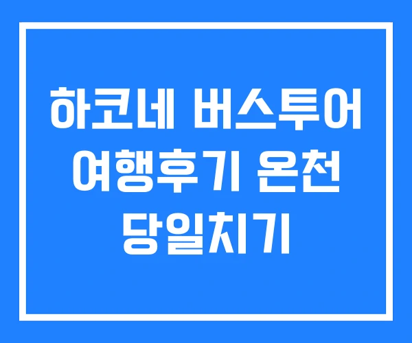 하코네 버스투어 여행후기 온천 당일치기 하코네 버스투어 여행후기 온천 당일치기