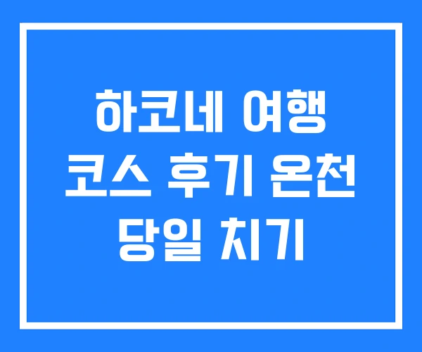 하코네 여행 코스 후기 온천 당일 치기