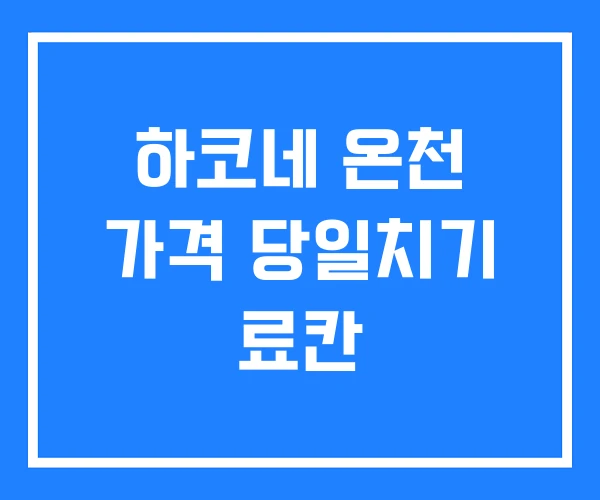 하코네 온천 가격 당일치기 료칸 하코네 온천 가격 당일치기 료칸