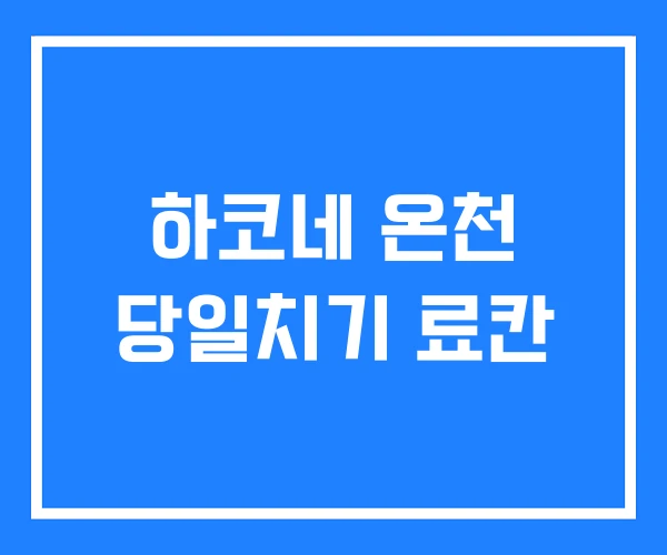 하코네 온천 당일치기 료칸