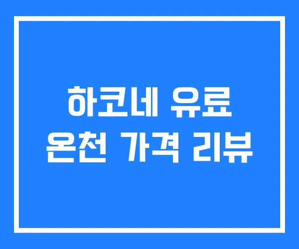 하코네 유료 온천 가격 리뷰