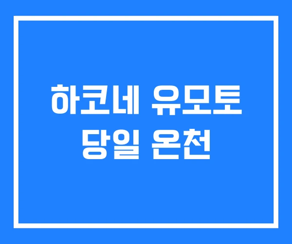 하코네 유모토 당일 온천