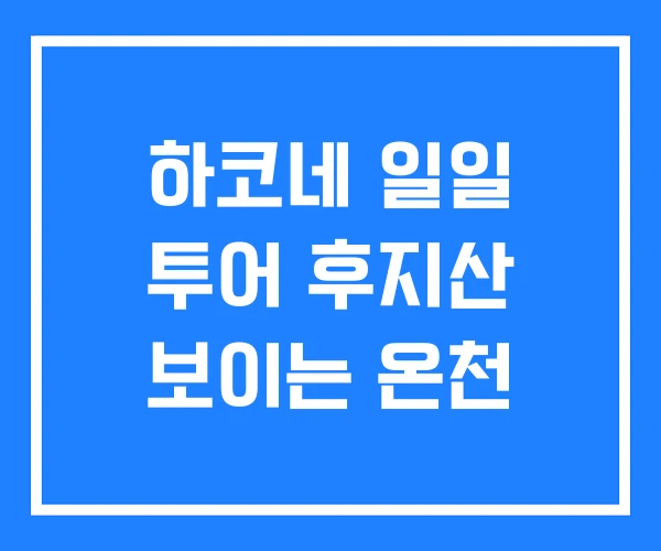하코네 일일 투어 후지산 보이는 온천 하코네 일일 투어 후지산 보이는 온천