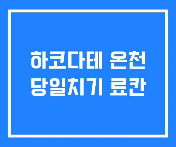 하코다테 온천 당일치기 료칸