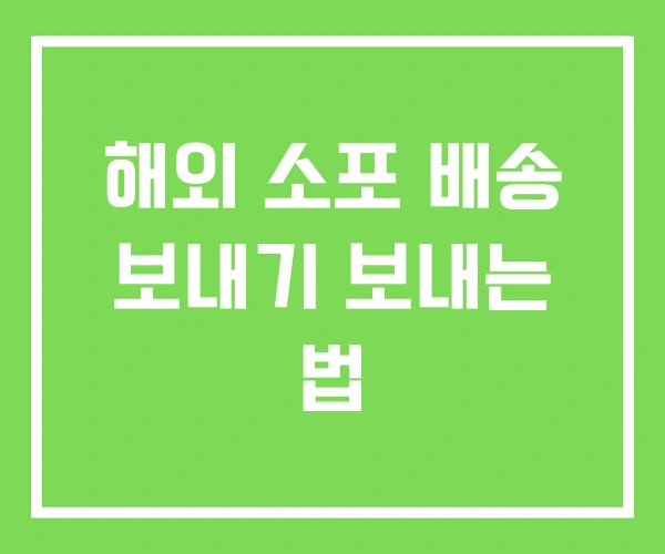 해외 소포 배송 보내기 보내는 법 해외 소포 배송 보내기 보내는 법