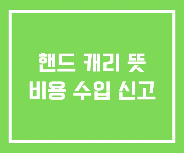 핸드 캐리 뜻 비용 수입 신고 핸드 캐리 뜻 비용 수입 신고
