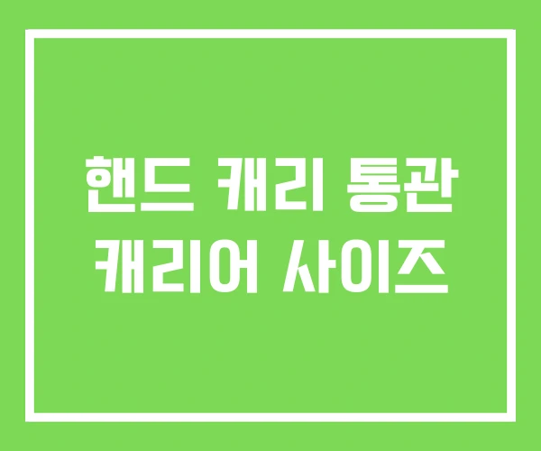 핸드 캐리 통관 캐리어 사이즈