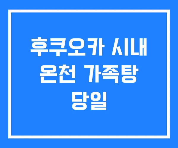 후쿠오카 시내 온천 가족탕 당일