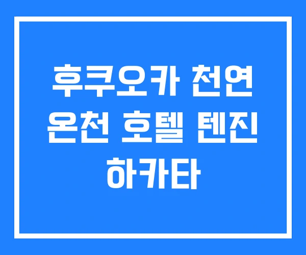 후쿠오카 천연 온천 호텔 텐진 하카타