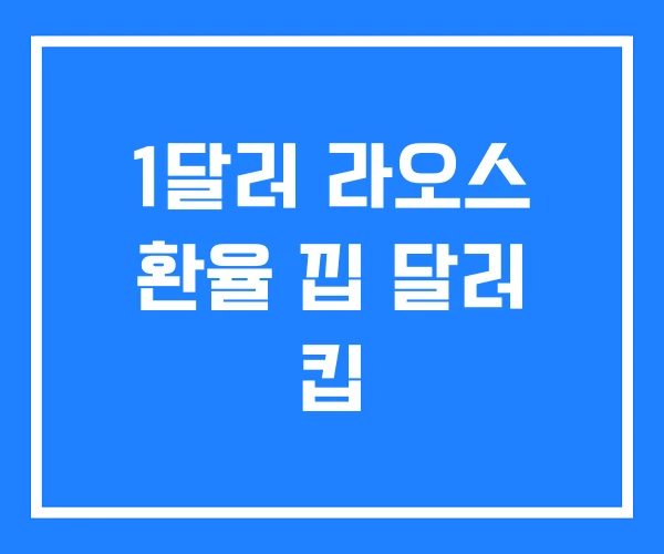 1달러 라오스 환율 낍 달러 킵