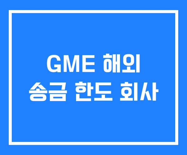 GME 해외 송금 한도 회사