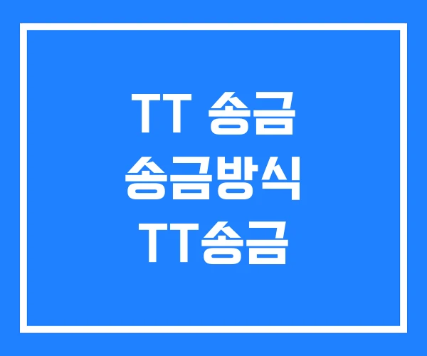 TT 송금 송금방식 TT송금