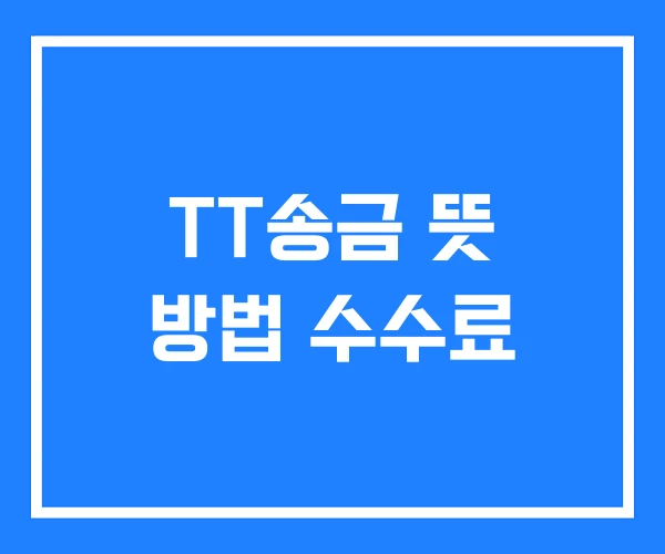 TT송금 뜻 방법 수수료 TT송금 뜻 방법 수수료