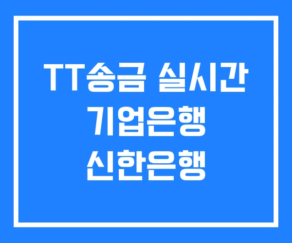 TT송금 실시간 기업은행 신한은행 TT송금 실시간 기업은행 신한은행