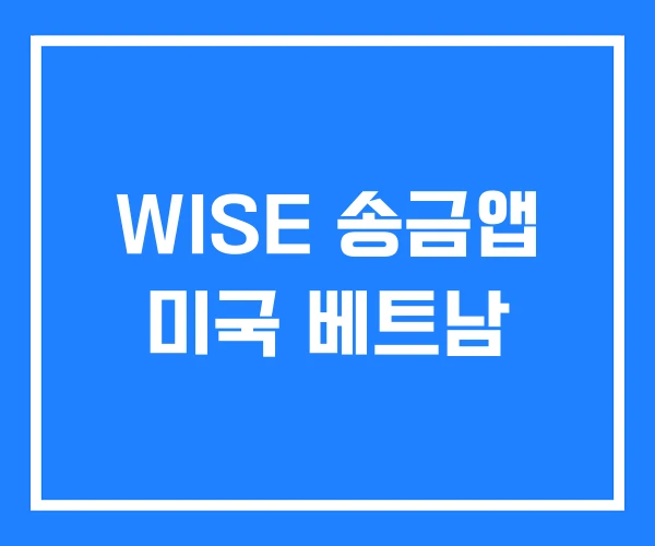 WISE 송금앱 미국 베트남