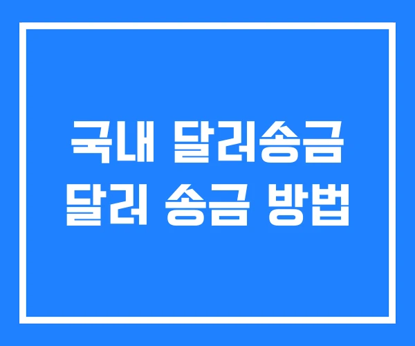 국내 달러송금 달러 송금 방법
