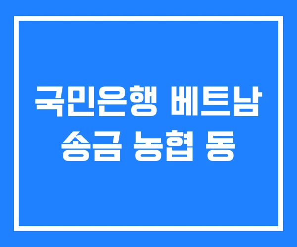 국민은행 베트남 송금 농협 동