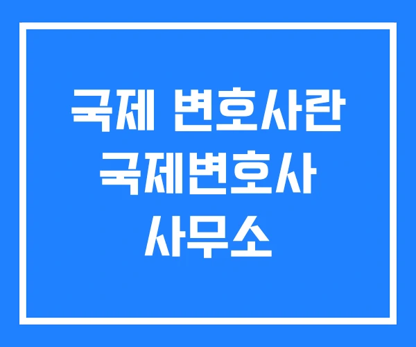 국제 변호사란 국제변호사 사무소 국제 변호사란 국제변호사 사무소