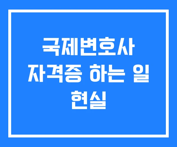 국제변호사 자격증 하는 일 현실 국제변호사 자격증 하는 일 현실