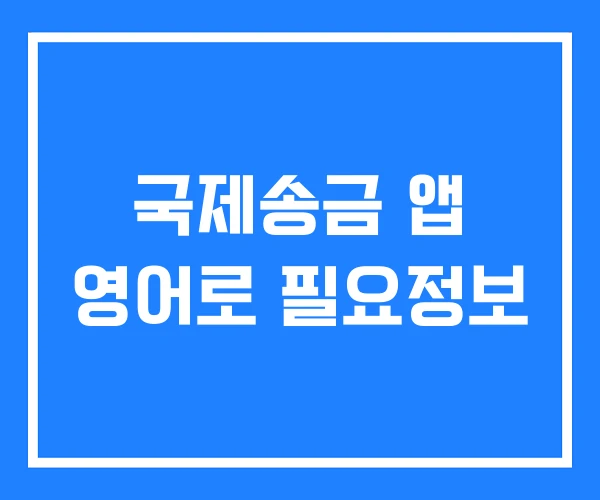 국제송금 앱 영어로 필요정보 국제송금 앱 영어로 필요정보