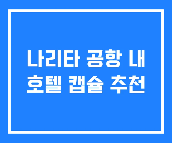 나리타 공항 내 호텔 캡슐 추천