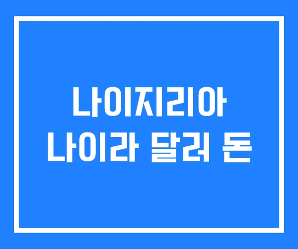 나이지리아 나이라 달러 돈