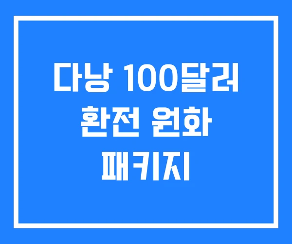 다낭 100달러 환전 원화 패키지