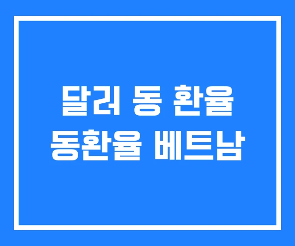 달러 동 환율 동환율 베트남 달러 동 환율 동환율 베트남