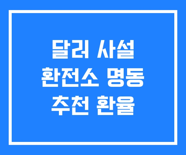 달러 사설 환전소 명동 추천 환율 달러 사설 환전소 명동 추천 환율