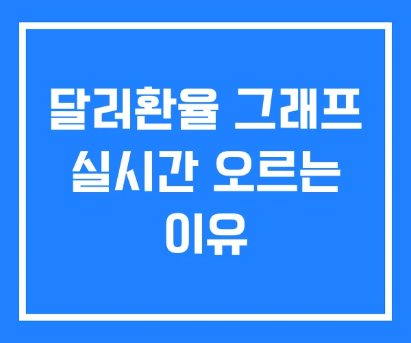 달러환율 그래프 실시간 오르는 이유