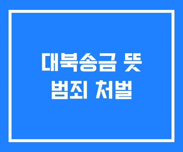 대북송금 뜻 범죄 처벌