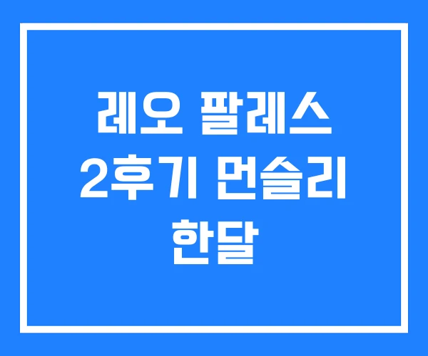 레오 팔레스 2후기 먼슬리 한달 레오 팔레스 2후기 먼슬리 한달