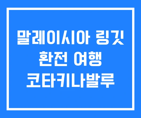 말레이시아 링깃 환전 여행 코타키나발루
