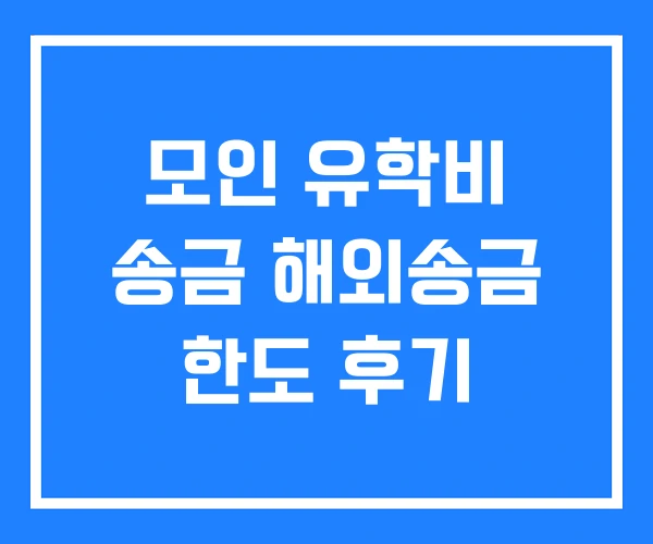 모인 유학비 송금 해외송금 한도 후기 모인 유학비 송금 해외송금 한도 후기