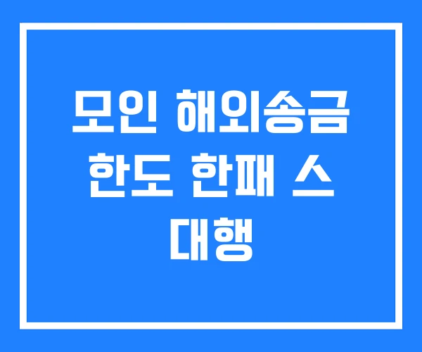 모인 해외송금 한도 한패 스 대행 모인 해외송금 한도 한패 스 대행