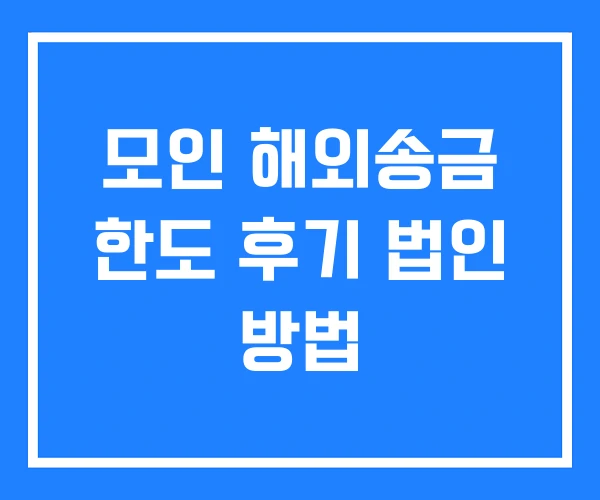 모인 해외송금 한도 후기 법인 방법