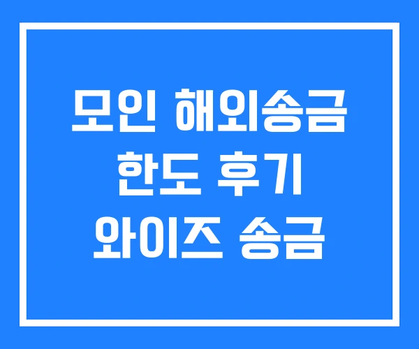 모인 해외송금 한도 후기 와이즈 송금