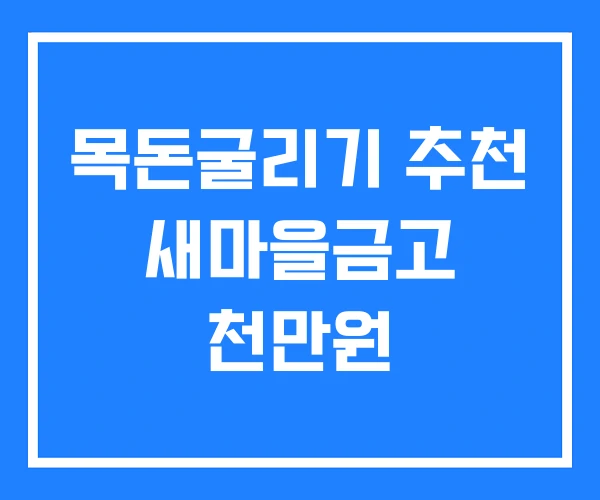 목돈굴리기 추천 새마을금고 천만원