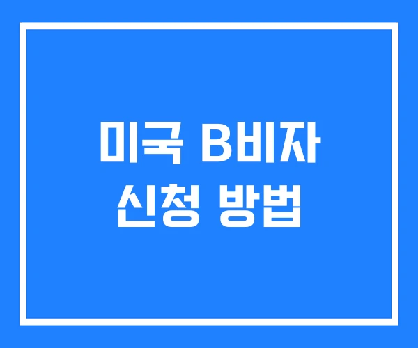 미국 B비자 신청 방법