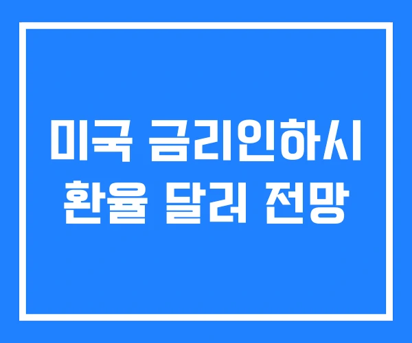 미국 금리인하시 환율 달러 전망