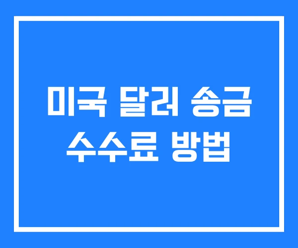 미국 달러 송금 수수료 방법