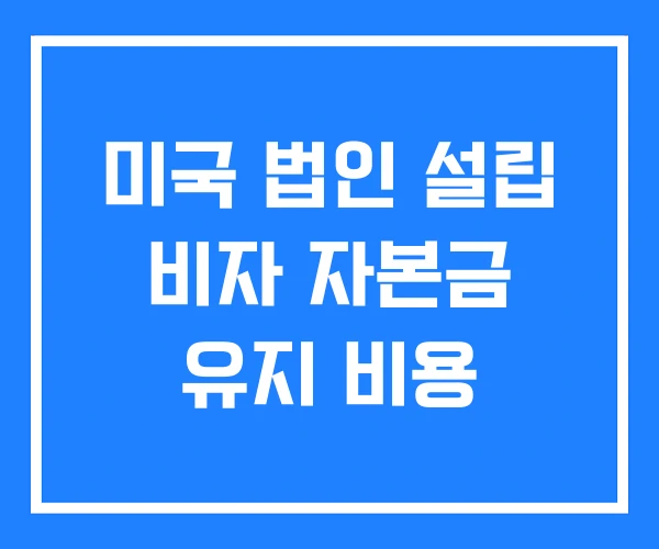 미국 법인 설립 비자 자본금 유지 비용