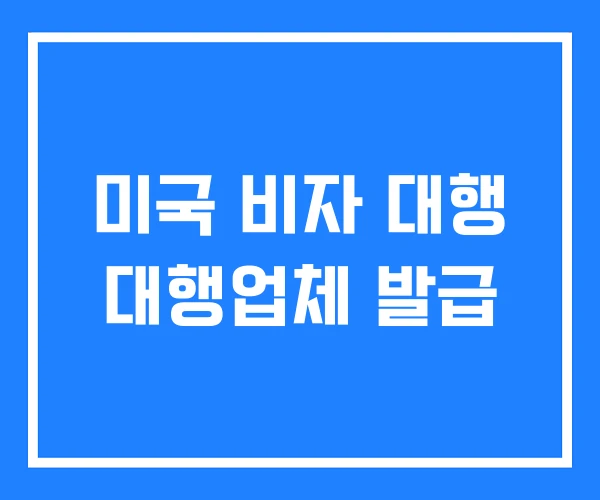 미국 비자 대행 대행업체 발급 미국 비자 대행 대행업체 발급
