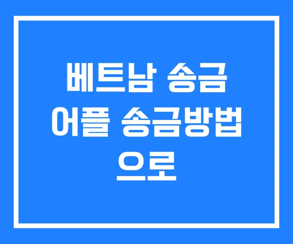 베트남 송금 어플 송금방법 으로