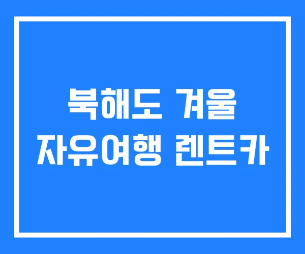 북해도 겨울 자유여행 렌트카 북해도 겨울 자유여행 렌트카