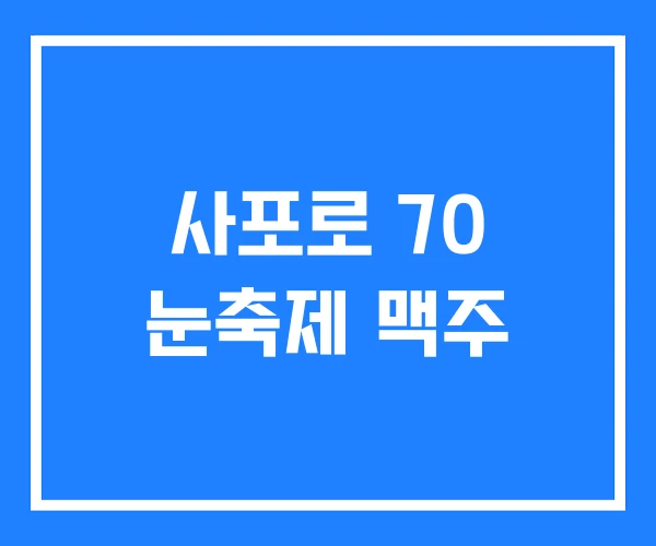 사포로 70 눈축제 맥주 사포로 70 눈축제 맥주