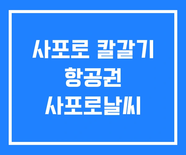 사포로 칼갈기 항공권 사포로날씨